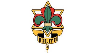 testimonial icon
